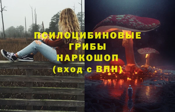 мдма Переславль-Залесский