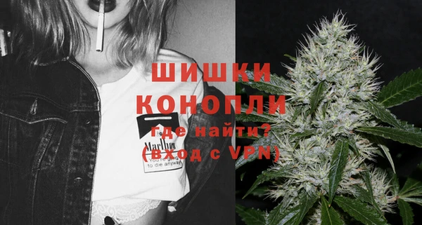 Альфа ПВП Пестово