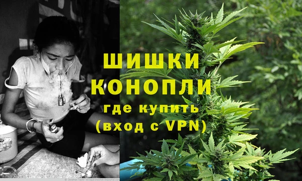 Альфа ПВП Пестово