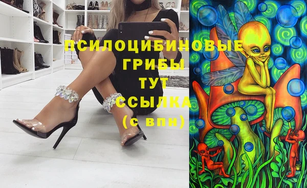 мдма Переславль-Залесский