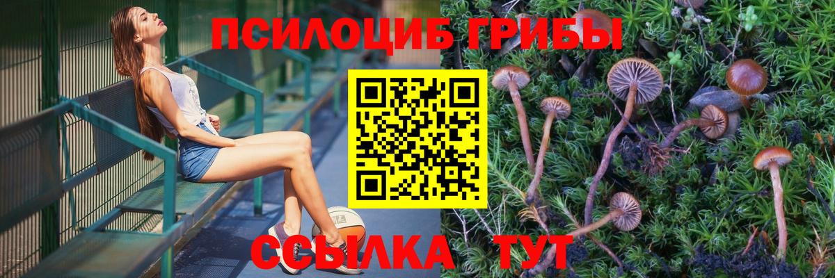Бахчисарай  Галлюциногенные грибы мухоморы  Вход с VPN 