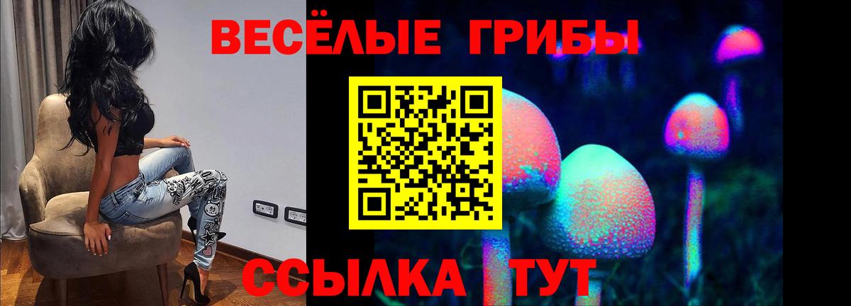 Галлюциногенные грибы прущие грибы  цены наркотик  Бахчисарай 